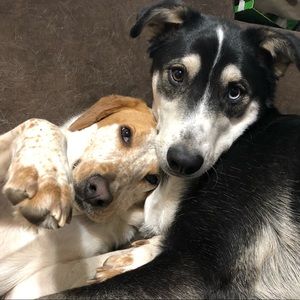 Meet your Posher, Ashley